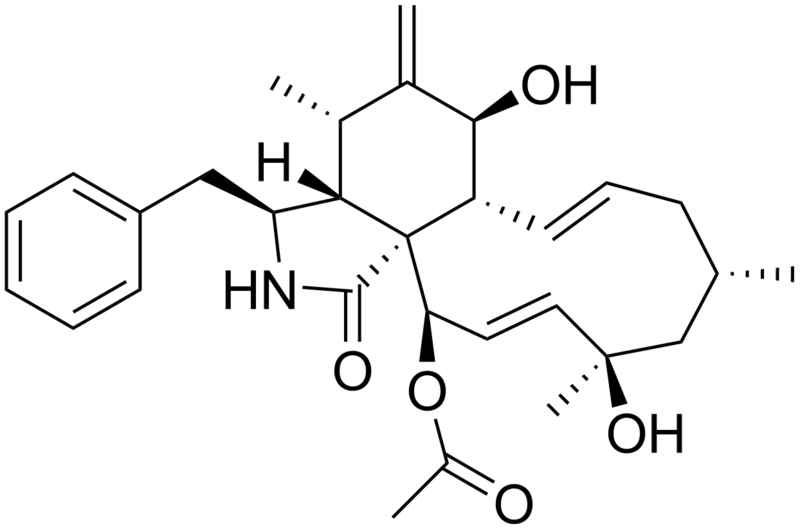 File:Cytochalasin H.png
