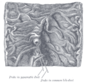 Thumbnail for version as of 17:28, 18 May 2026