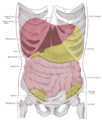 Thumbnail for version as of 17:28, 18 May 2026