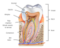Thumbnail for version as of 02:27, 19 May 2026