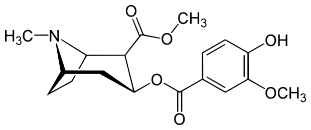 File:Hydroxymethoxycocaine.svg