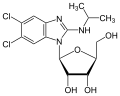 Thumbnail for version as of 12:34, 19 May 2026
