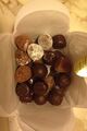 Thumbnail for version as of 22:25, 8 June 2026