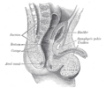 Thumbnail for version as of 17:28, 18 May 2026