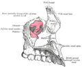Thumbnail for version as of 17:28, 18 May 2026
