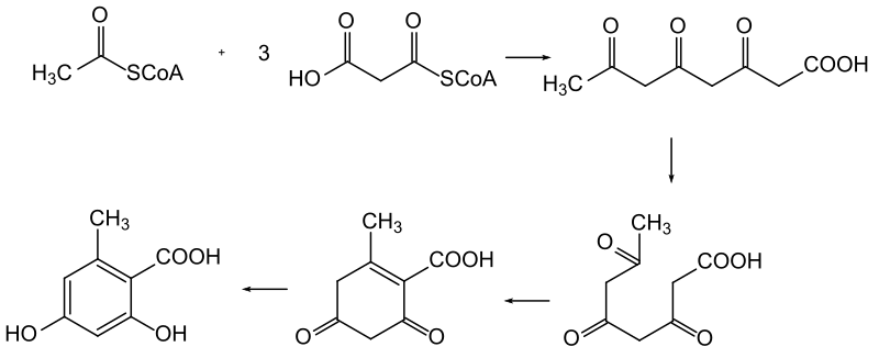 File:Orsellinsäure is.svg