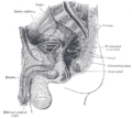 Thumbnail for version as of 17:28, 18 May 2026