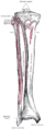 Thumbnail for version as of 03:47, 18 May 2026