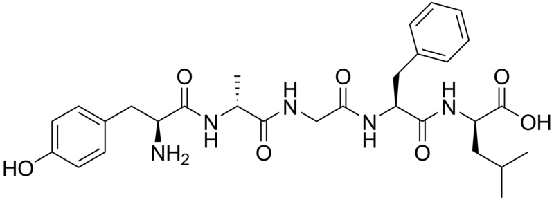 File:2-D-Alanine-5-D-leucine-enkephalin.png