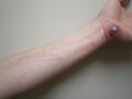 Thumbnail for version as of 03:31, 5 June 2026