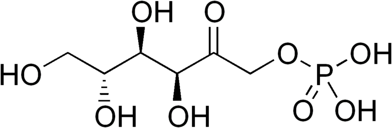 File:Fructose-1-phosphate.png