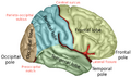 Thumbnail for version as of 03:26, 5 June 2026