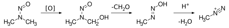 File:Ndma activ.svg
