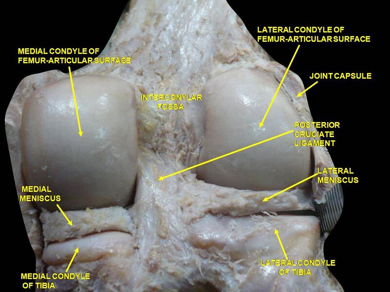 File:Slide2bib.JPG