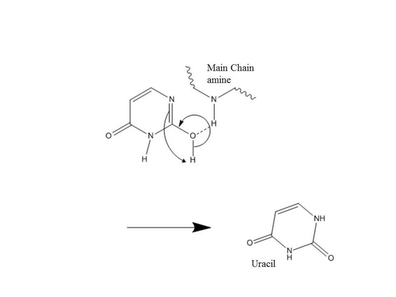 File:UDGMechStep3.JPG