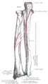Thumbnail for version as of 03:47, 18 May 2026