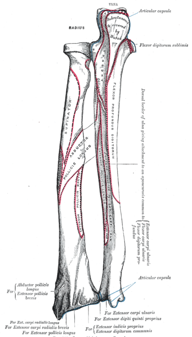 File:Gray214.png