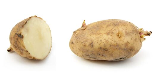 File:Russet potato cultivar with sprouts.jpg