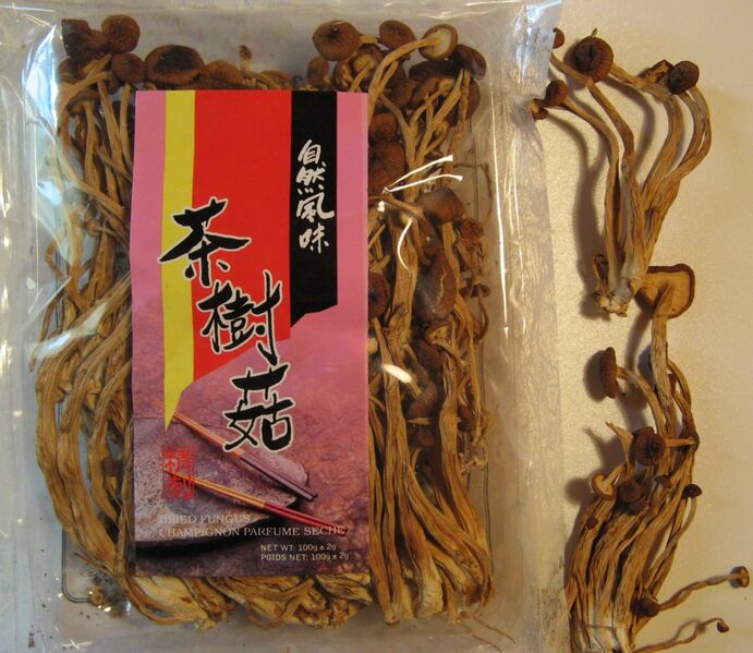 File:Velvet pioppini mushroom dried.jpg