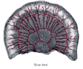 Thumbnail for version as of 17:28, 18 May 2026