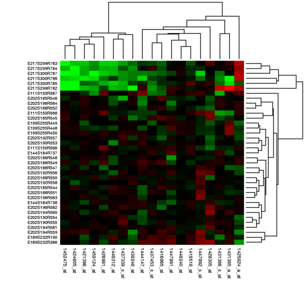 File:Heatmap.png