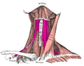 Thumbnail for version as of 13:40, 23 May 2026