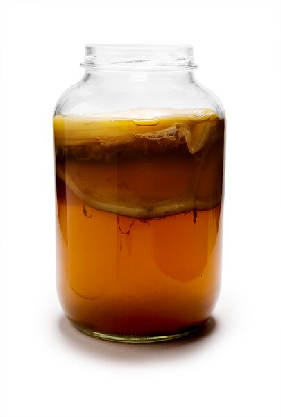 File:Kombucha Mature.jpg
