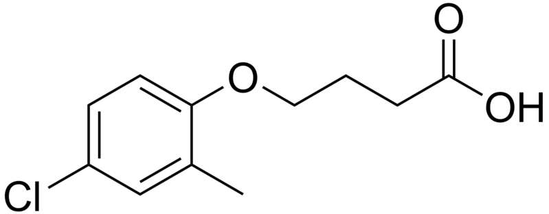 File:MCPB.png