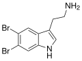 Thumbnail for version as of 02:09, 7 June 2026