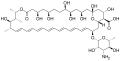 Amphotericin B structure