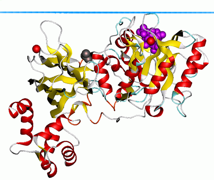 File:1djx opm.png