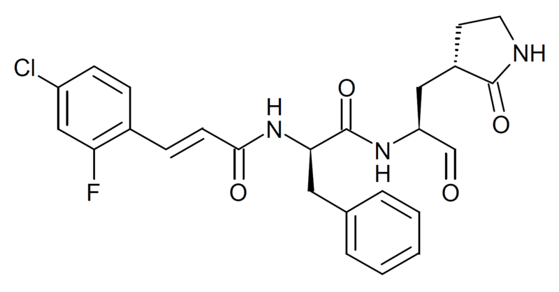 File:3CLpro-1 structure.png
