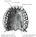 Thumbnail for version as of 17:28, 18 May 2026