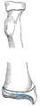 Thumbnail for version as of 17:28, 18 May 2026