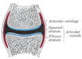 Thumbnail for version as of 17:28, 18 May 2026