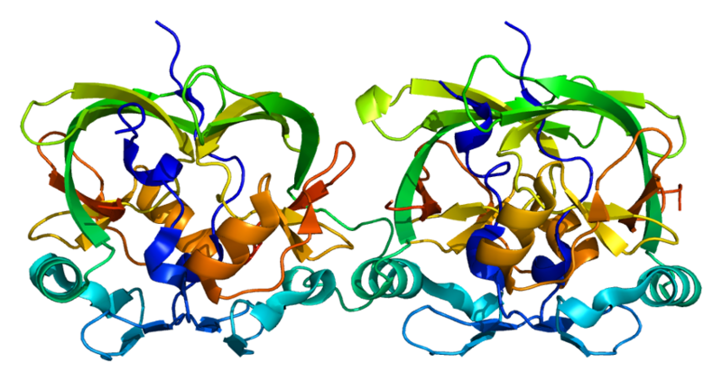 File:Protein ATXN1 PDB 1oa8.png