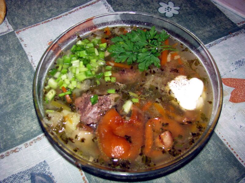 File:Schi.jpg
