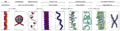 Chromatin Structures