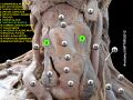 Thumbnail for version as of 22:36, 8 June 2026