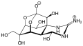Chemical structure of Tetrodotoxin