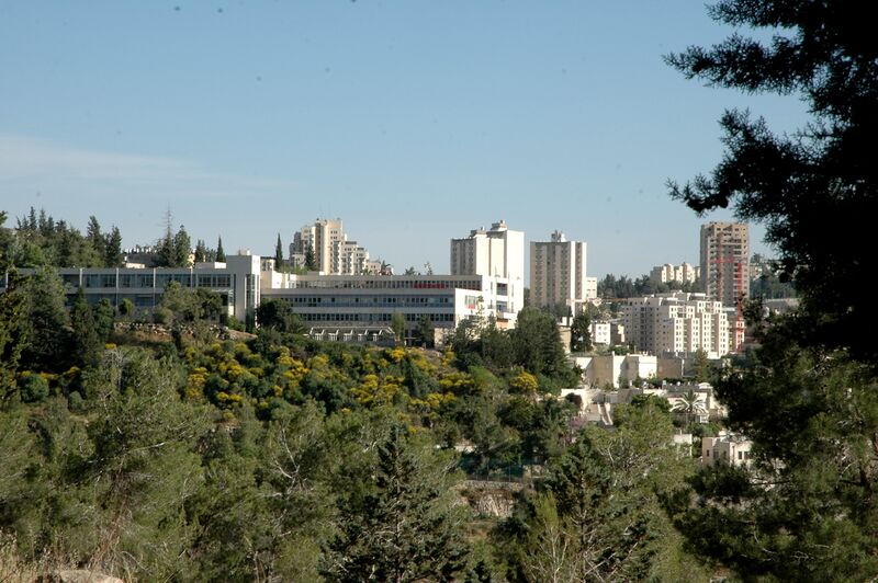 File:ALYN hospital.JPG