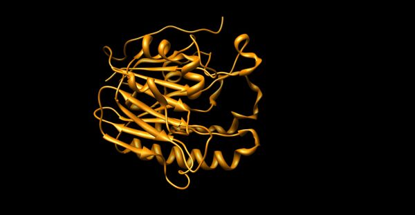 File:ApEndonuclease1.jpg