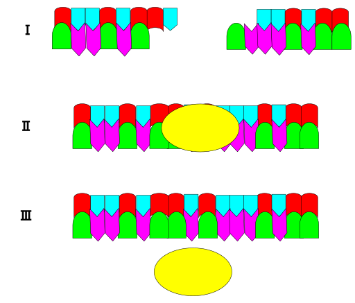 File:Ligase.svg