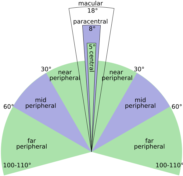 File:Peripheral vision.svg
