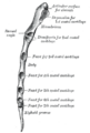 Thumbnail for version as of 17:28, 18 May 2026