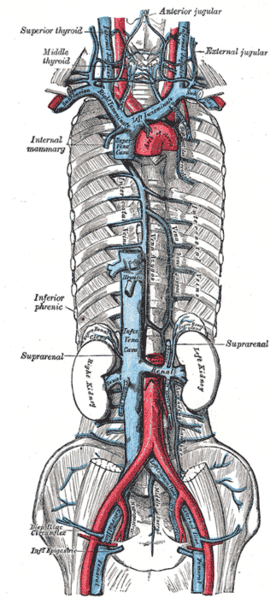 File:Gray577.png