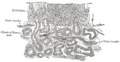 Thumbnail for version as of 17:28, 18 May 2026