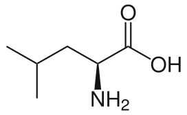 File:L-Leucine.svg