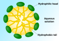 Diagram of a micelle