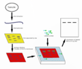 Diagram of a Northern blot